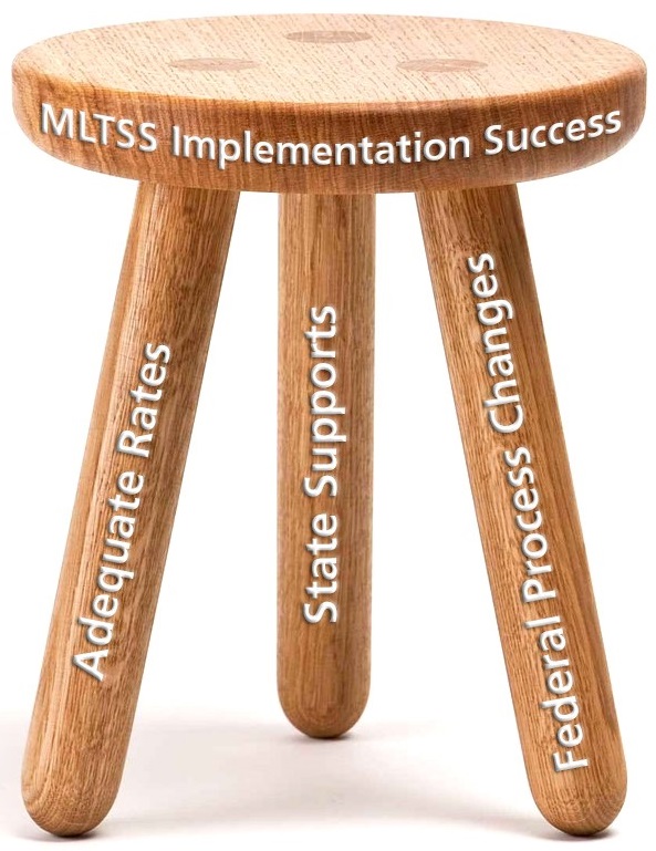 tactics for Managed Care Long Term Services and Supports MTLSS implementation success