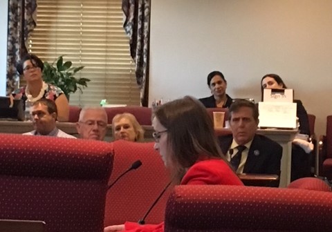 Home health care advocate testifies in front of Delaware Joint Finance Committee 2018